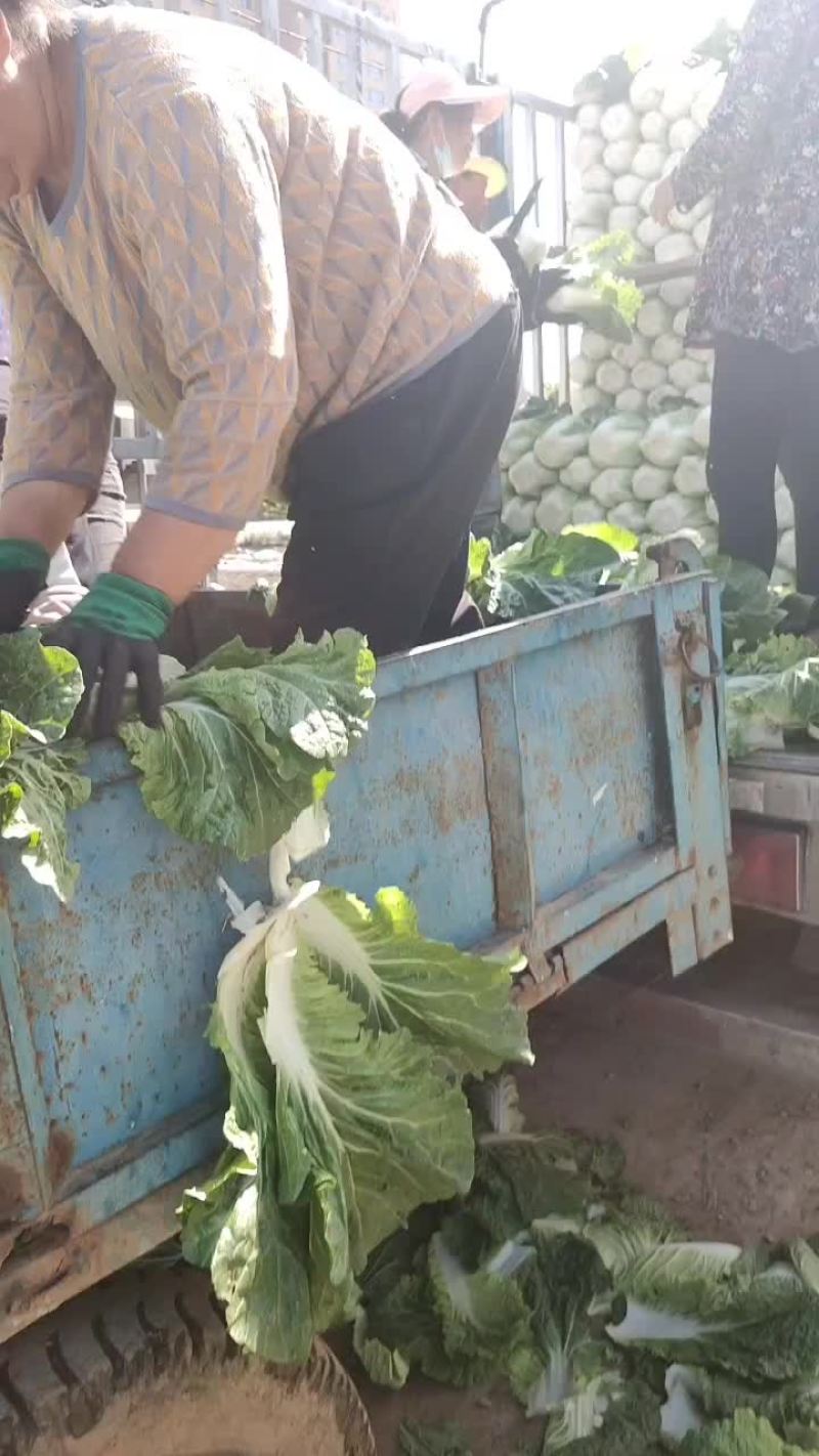 物美价廉