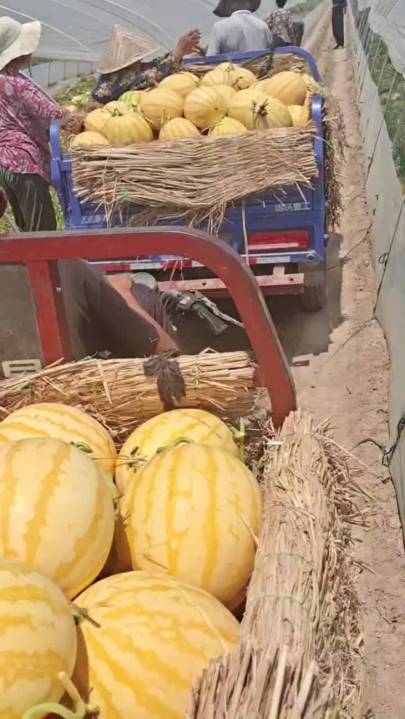 金皇后