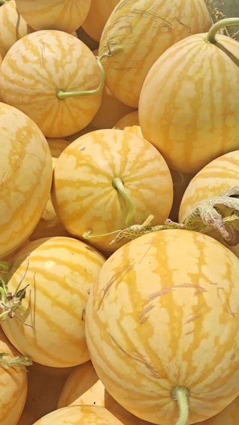 金皇后