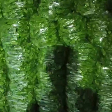精品薄皮青椒。