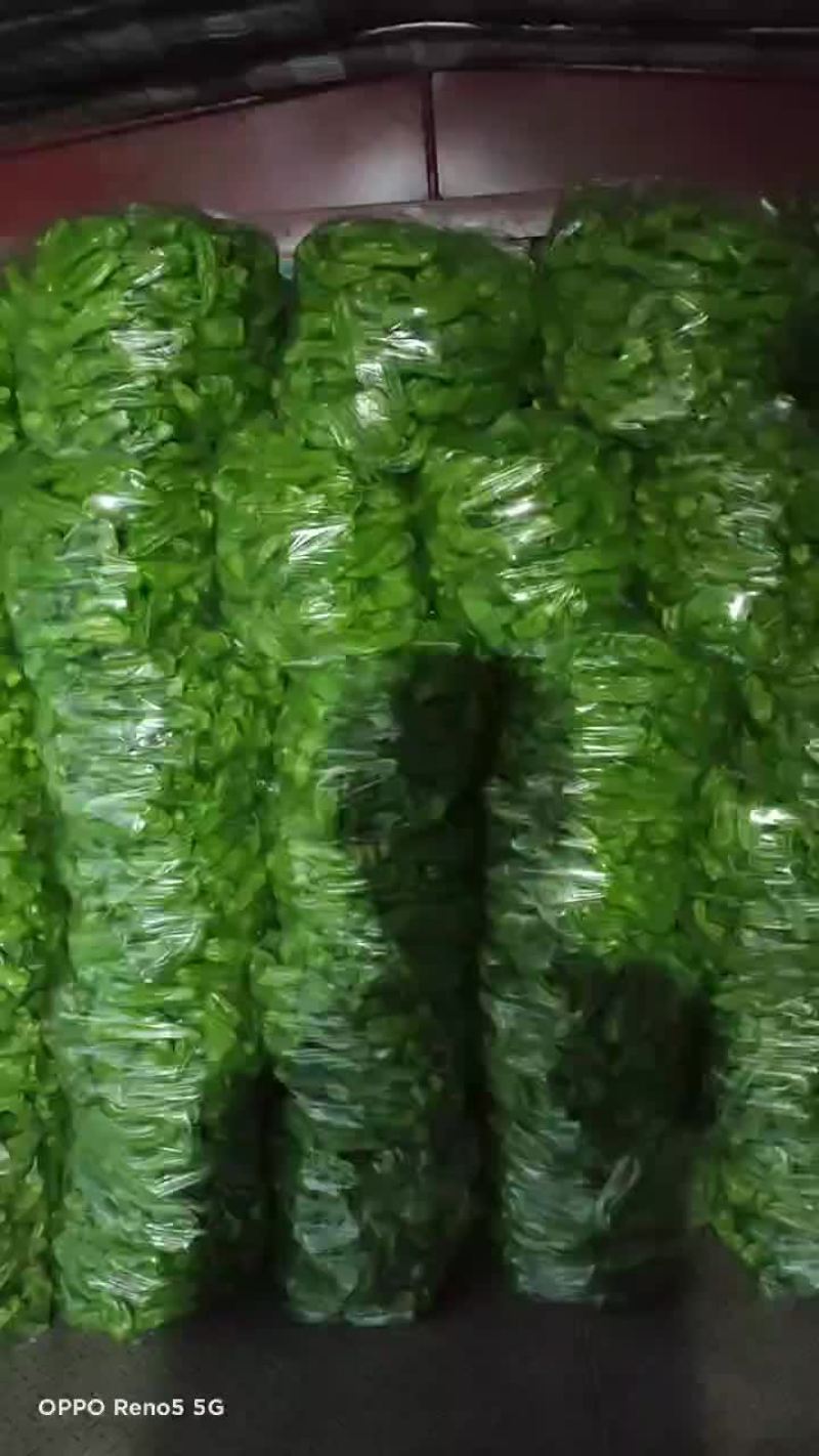 精品薄皮青椒。