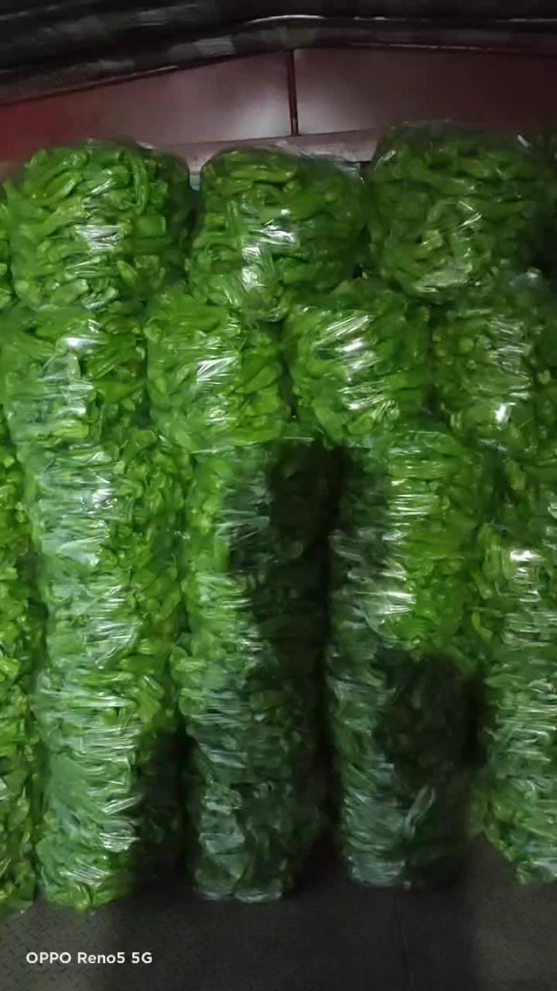 精品薄皮青椒。