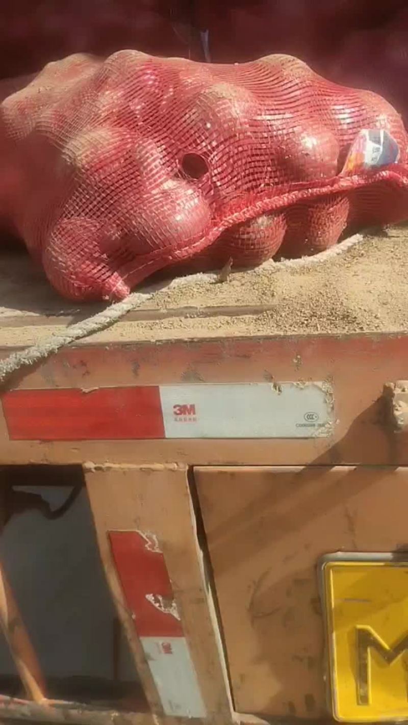 紫皮洋葱，加工厂