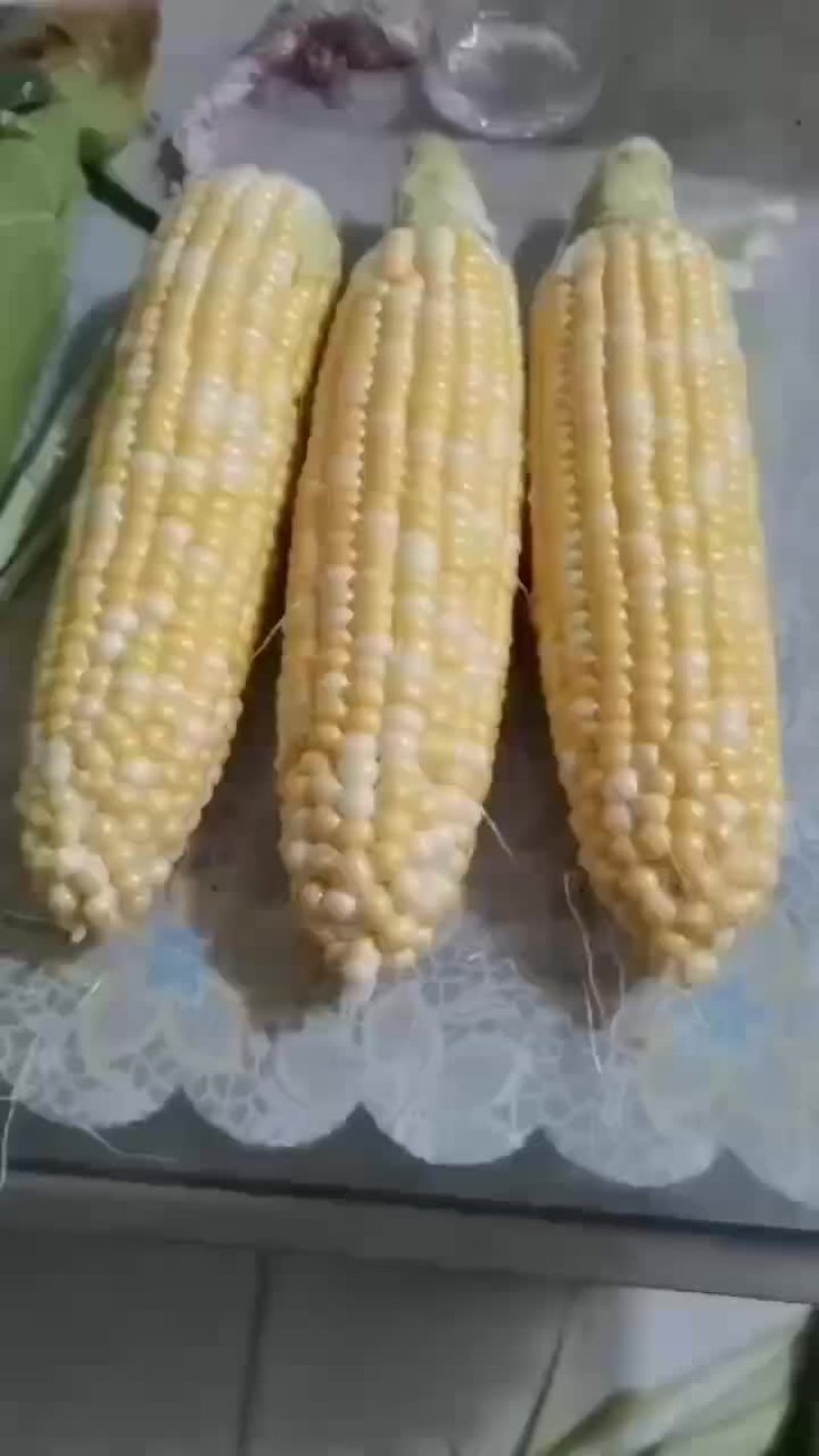 水果玉米上市需要的老板联系我