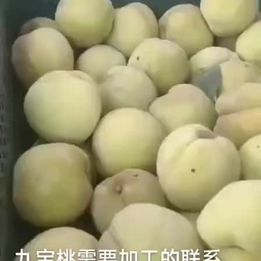 黄桃