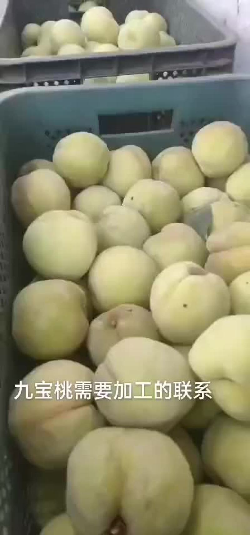 黄桃