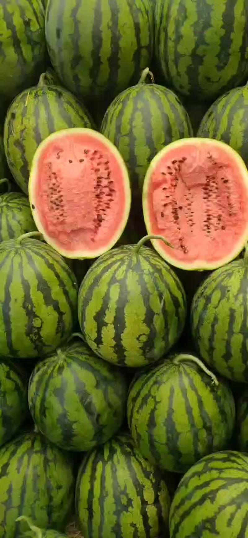 甜王西瓜大量上市了，精品西瓜，