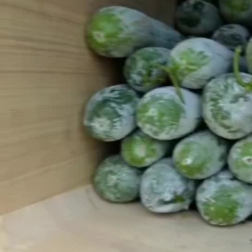 冬瓜