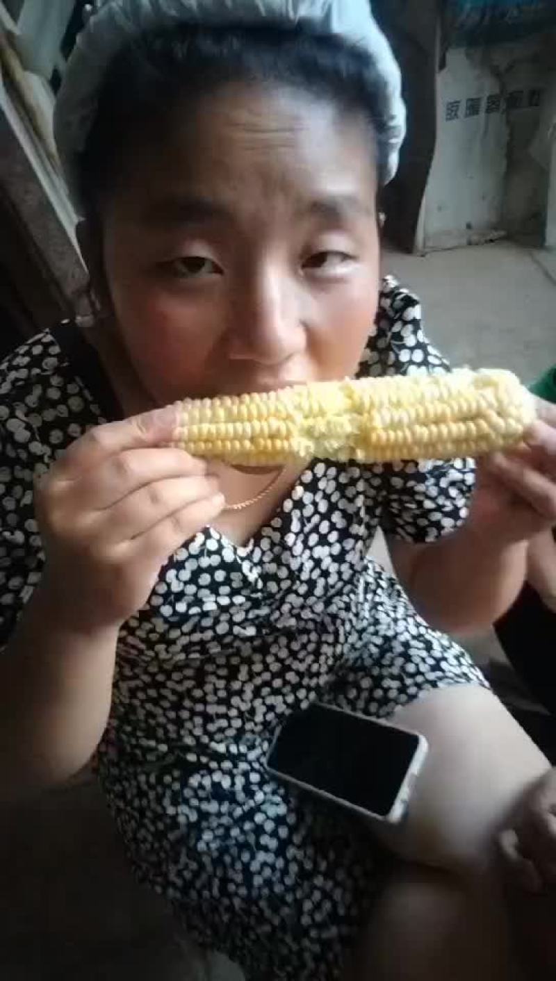 水果玉米上市需要的话联系我