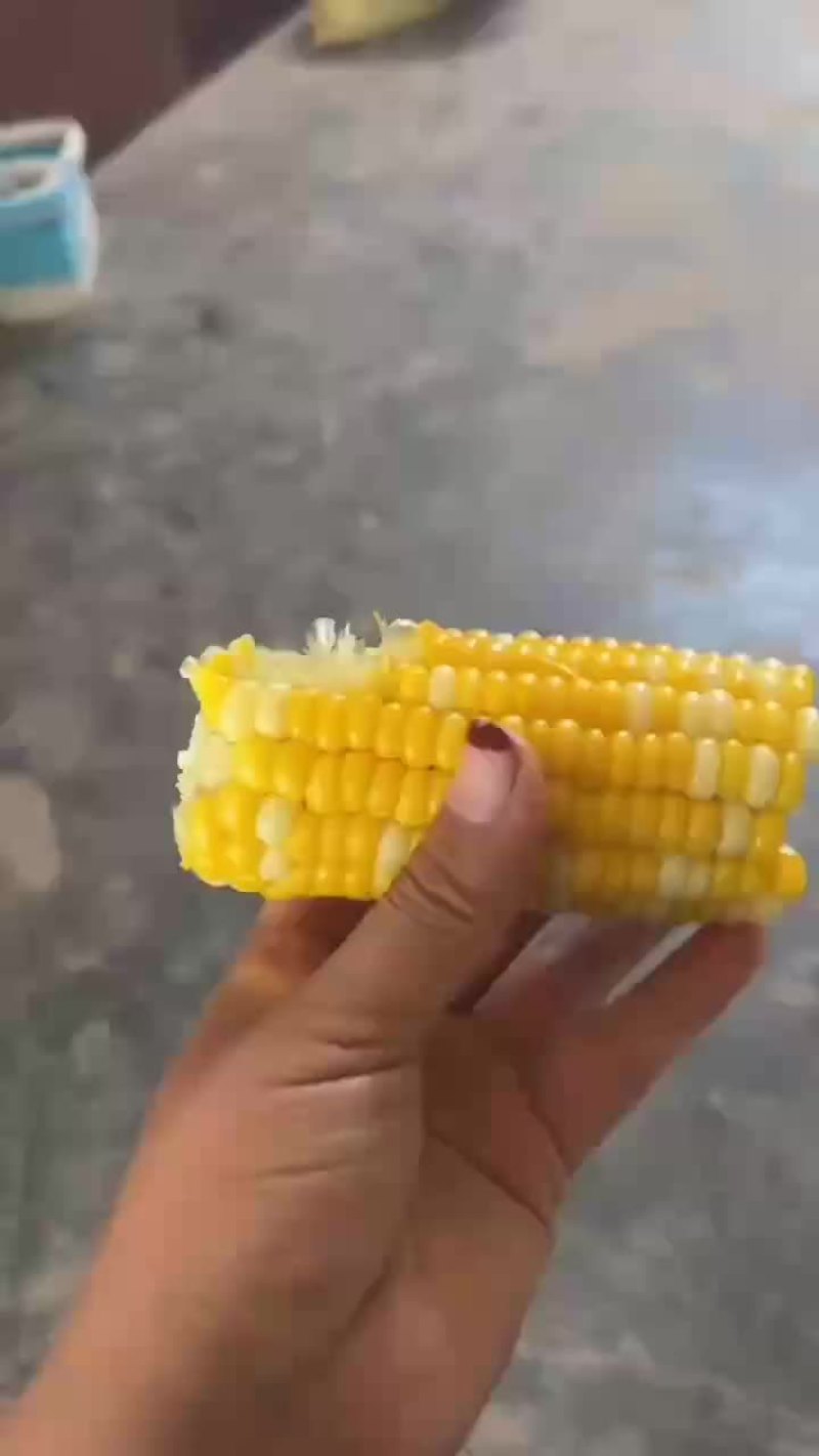 水果玉米上市需要的话联系我