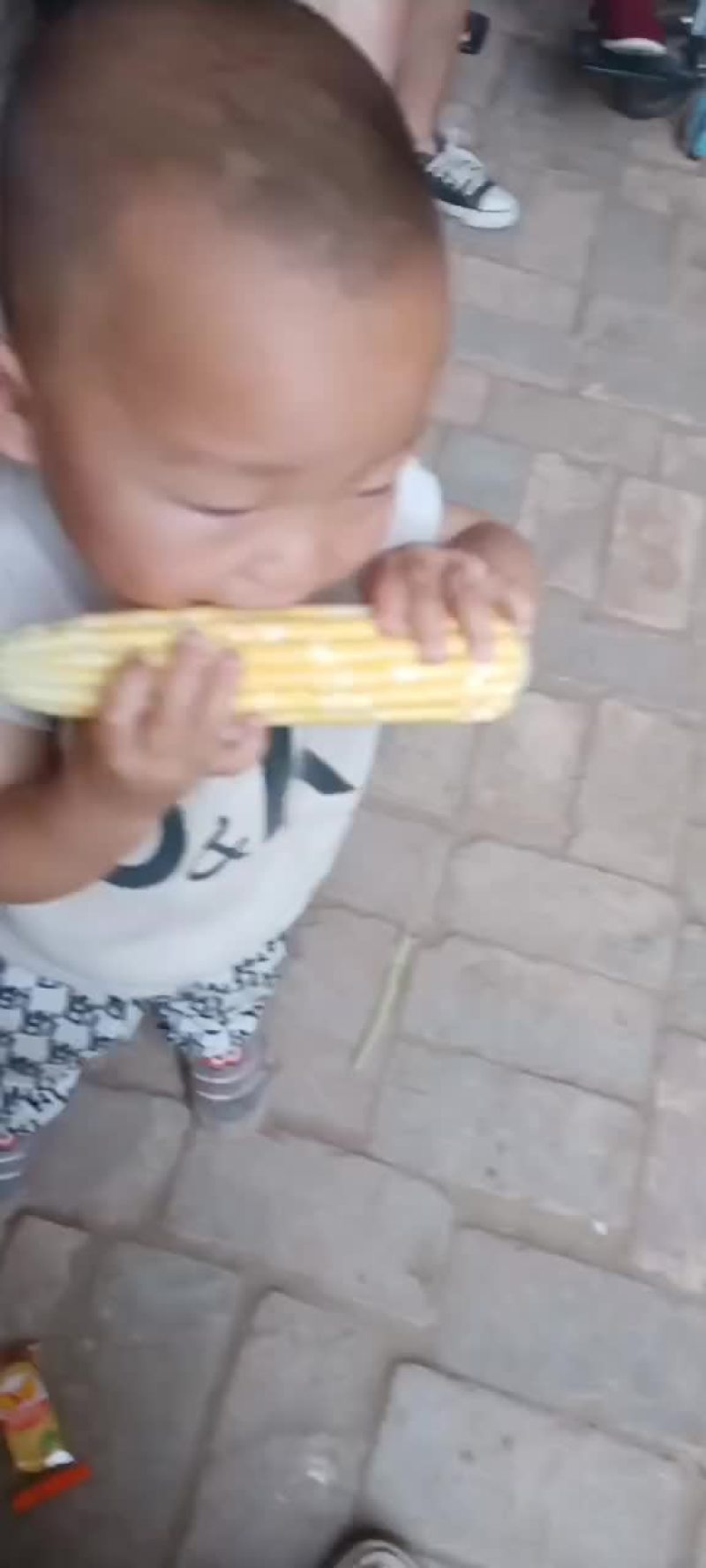 水果玉米上市需要的话联系我