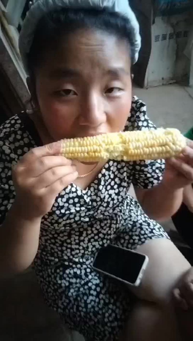 水果玉米上市需要的话联系我