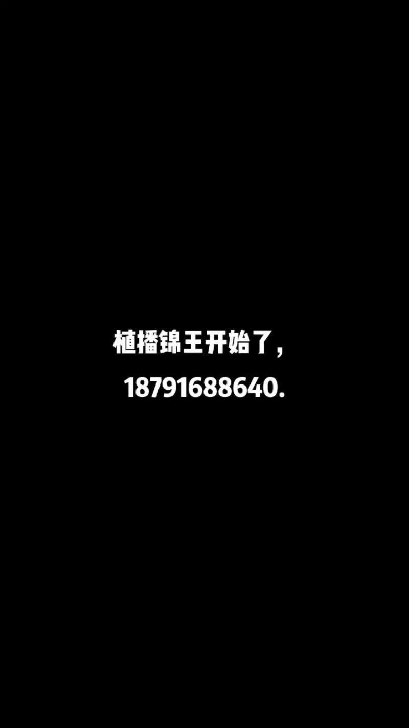 锦王