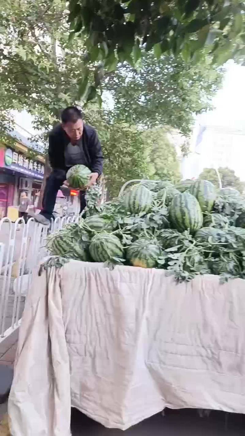 锦王