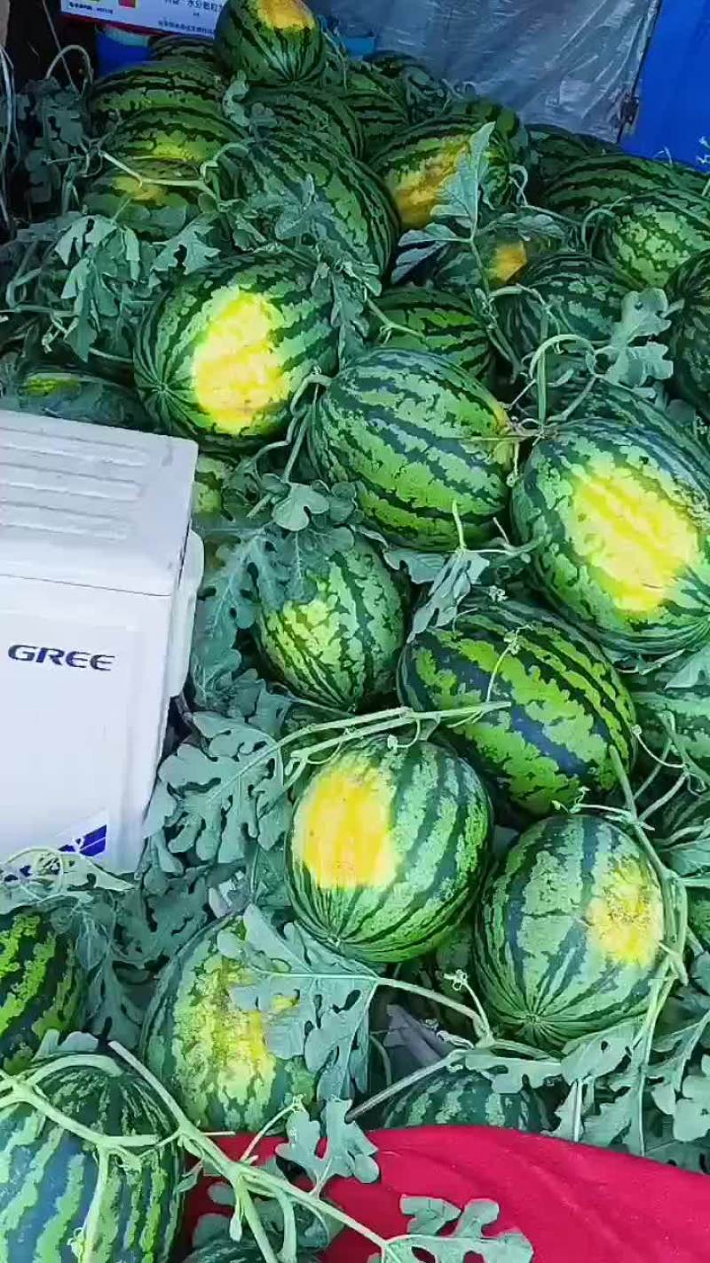 锦王西瓜