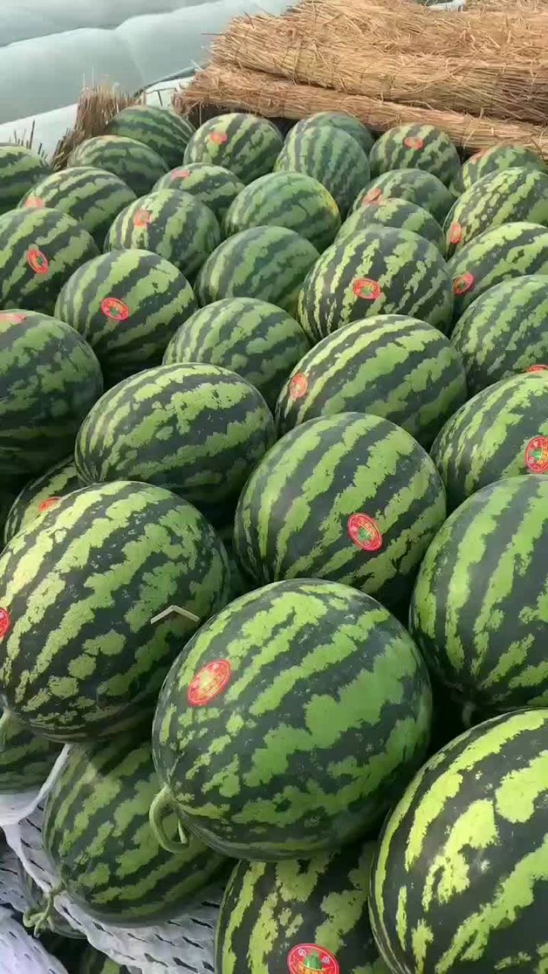 陕西甜王