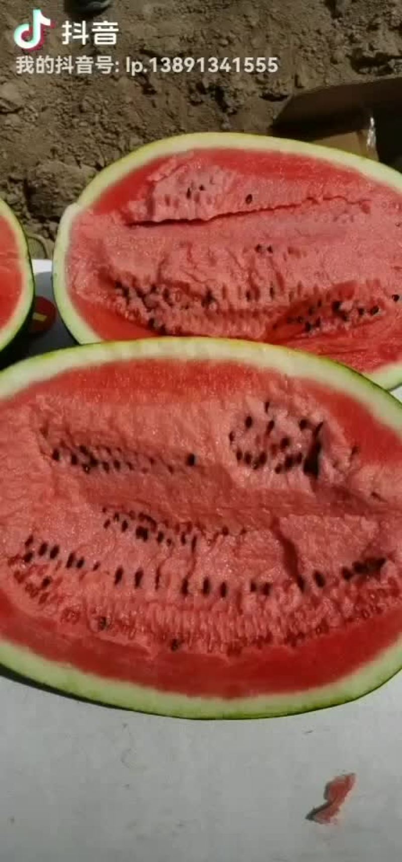 陕西甜王