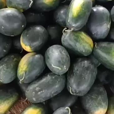 黑美人西瓜