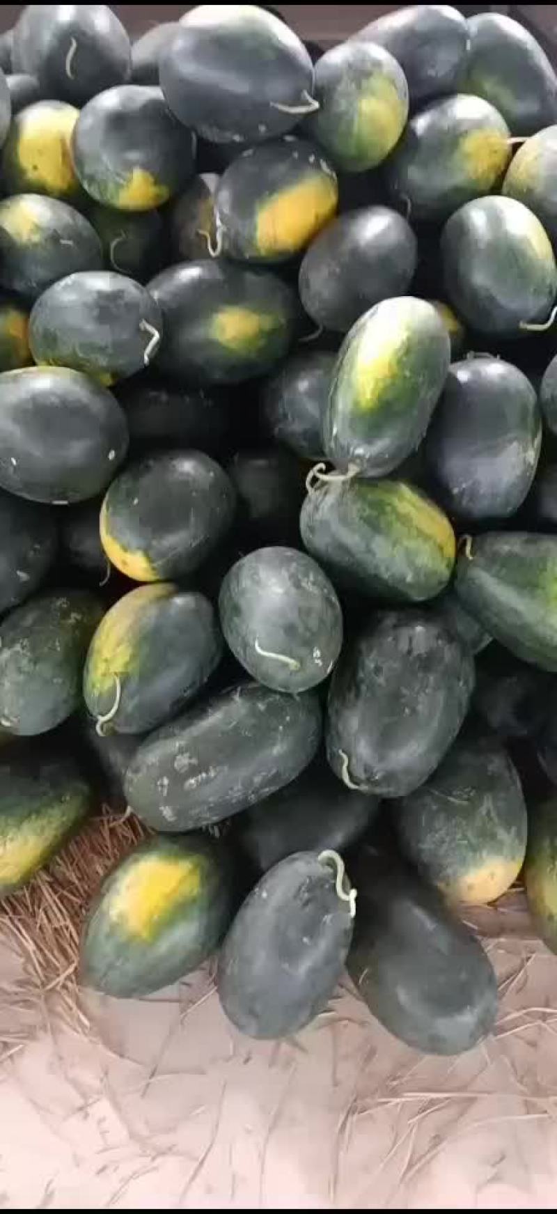 黑美人西瓜