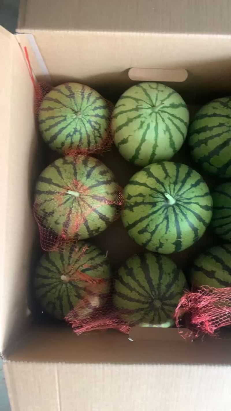 西瓜