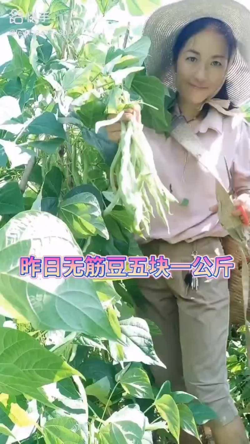无筋豆（蔬菜）