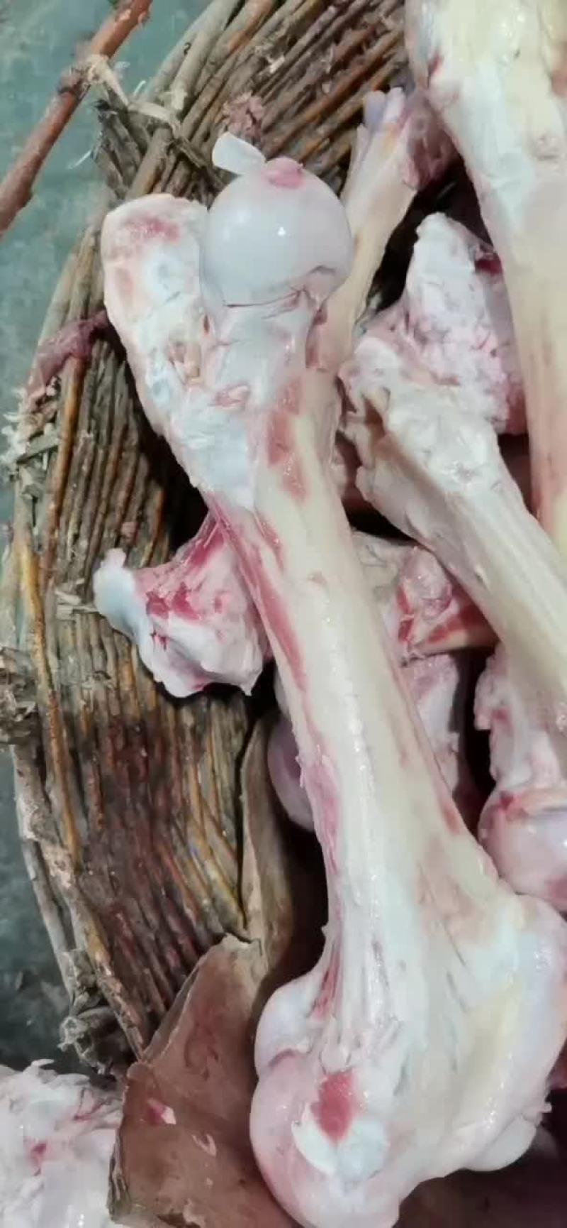 国产