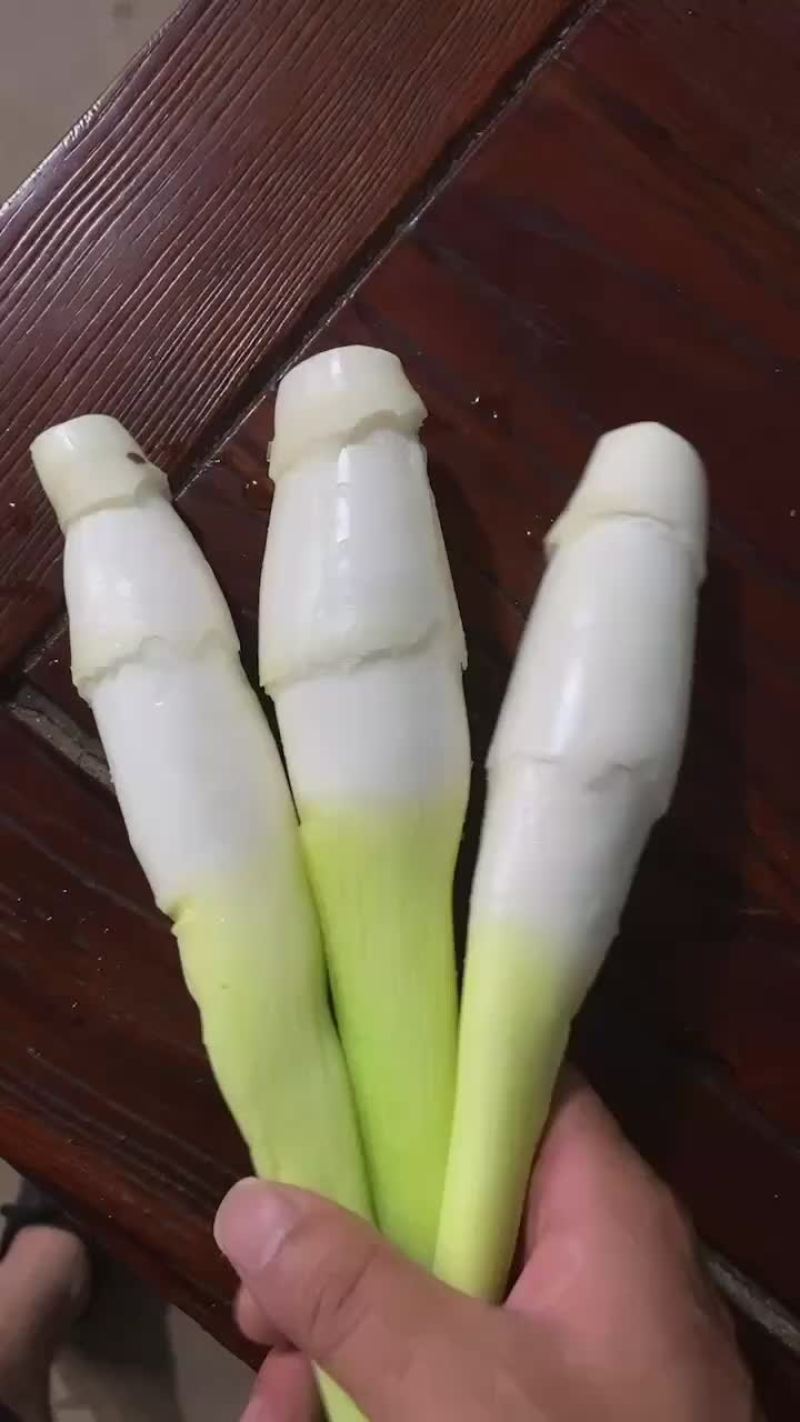 精品茭白