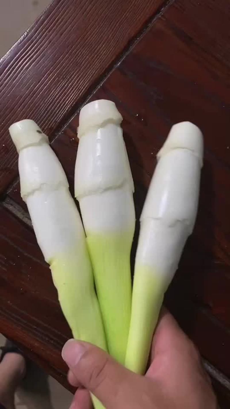 精品茭白