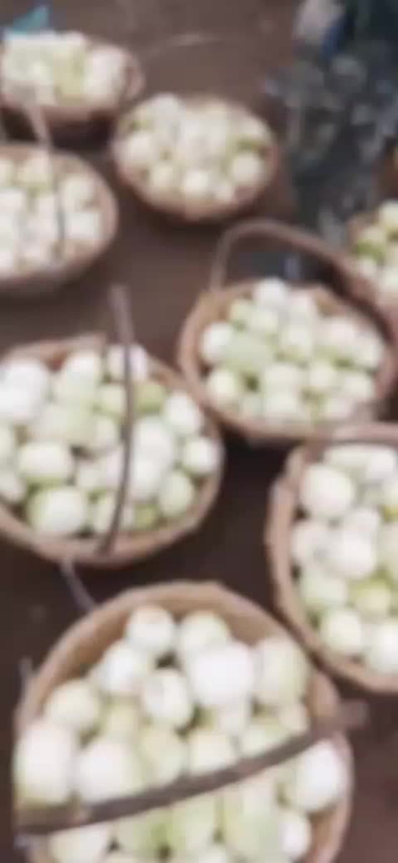 海城金妃香瓜开园了，嘎嘎甜。3两起至8两。