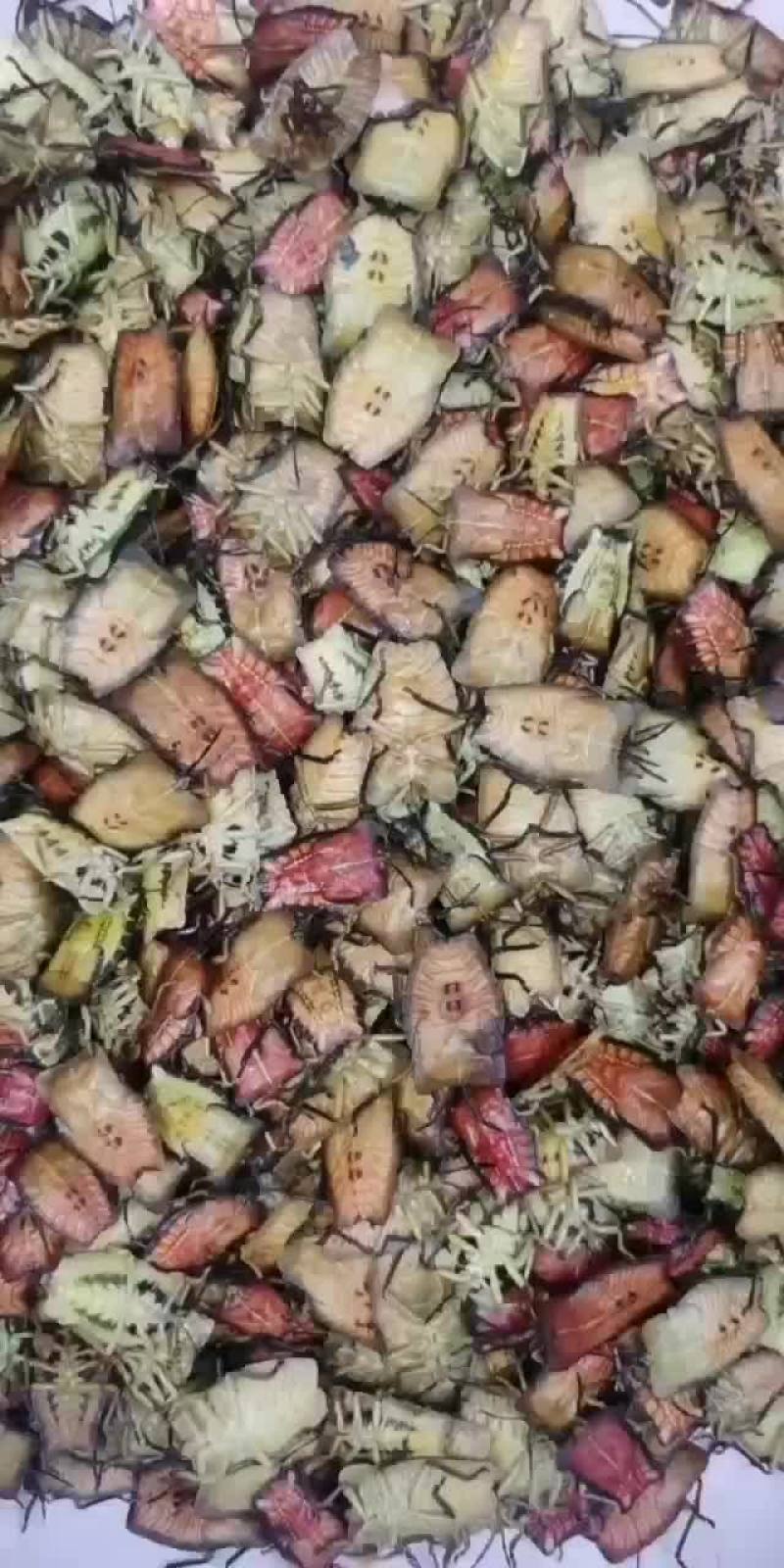 九香虫。要叫，臭屁虫