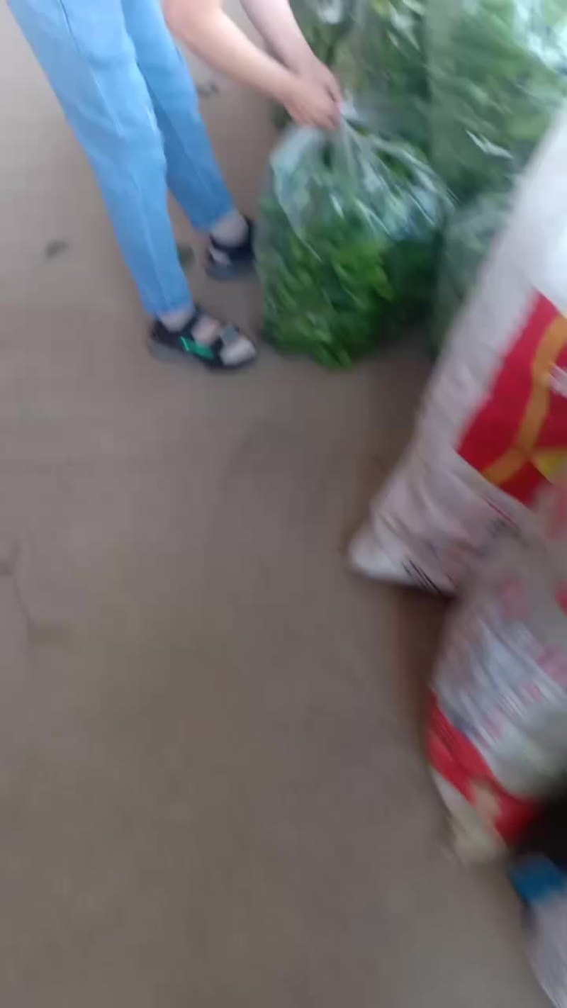青辣椒大量共应需要连系一