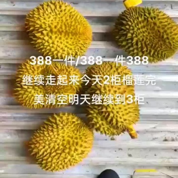 榴莲