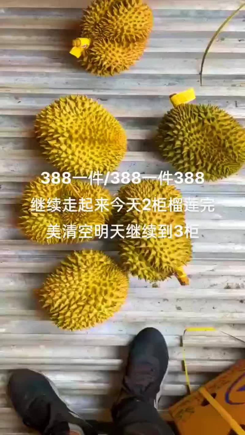 榴莲