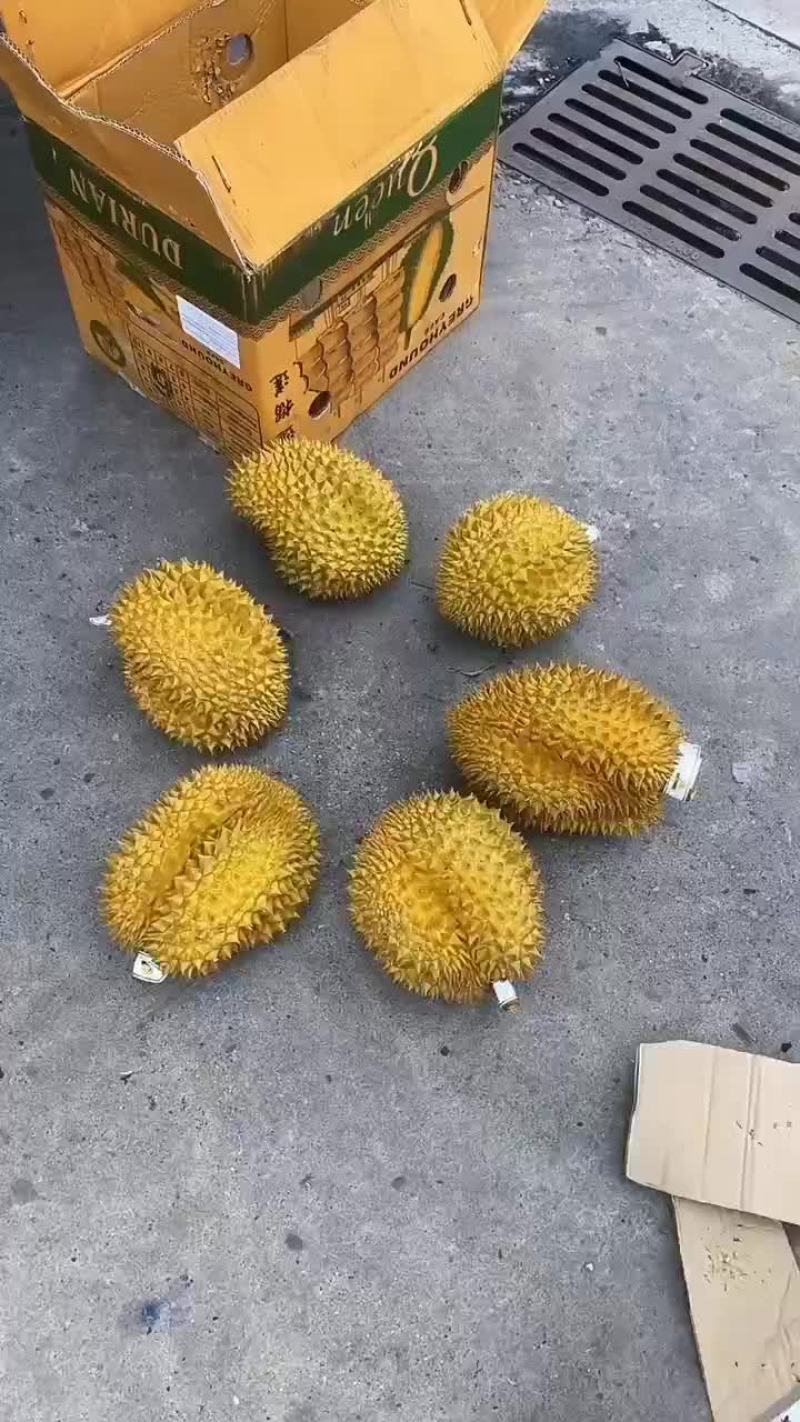 榴莲