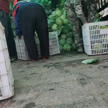 物美价廉