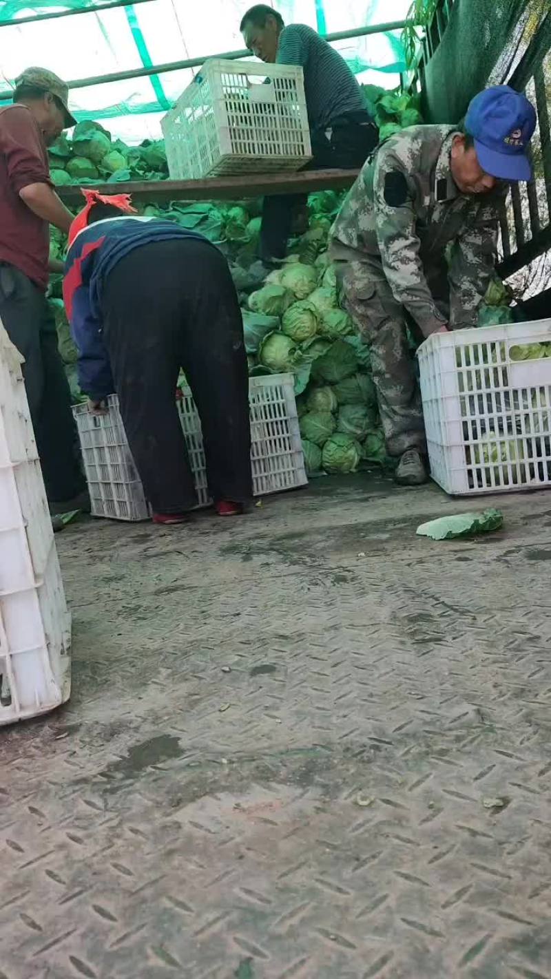 物美价廉