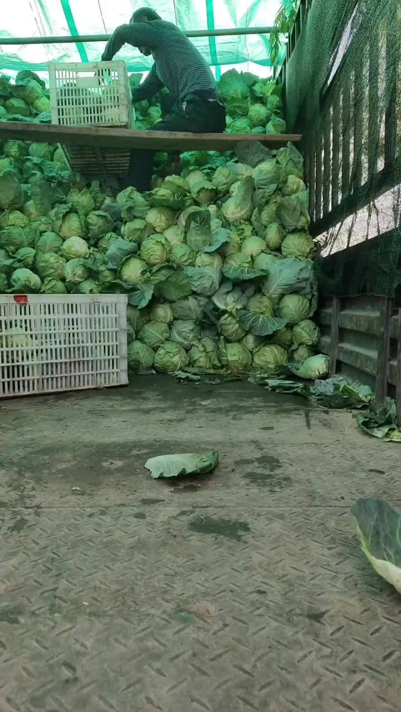 物美价廉
