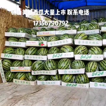 砀山西瓜，砀山美都西瓜，砀山梨
