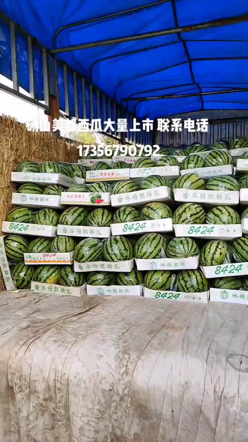 砀山西瓜，砀山美都西瓜，砀山梨