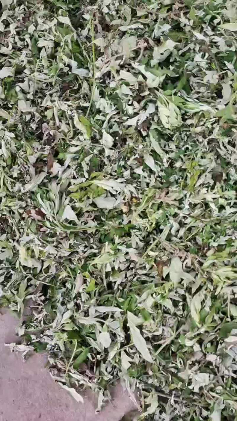 艾