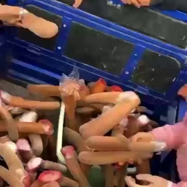 满满的收货回家
