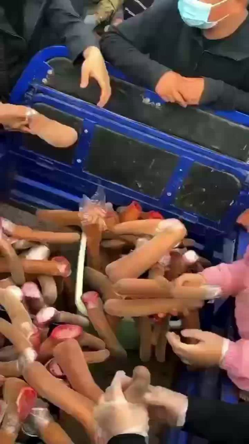 满满的收货回家