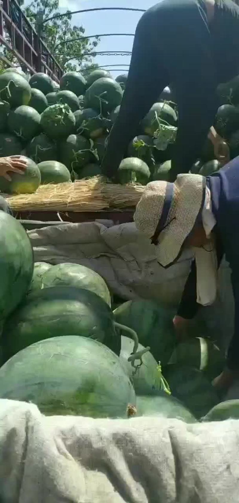 甜王西瓜大量上市，花无籽西瓜，价格美丽，口感脆甜，欢迎咨询！