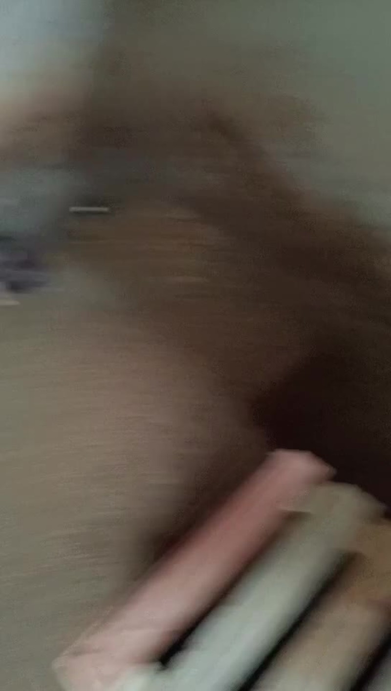 大量供应小猪种猪母猪商品猪。需要购买抓紧了。