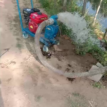 抽粪泵水泵