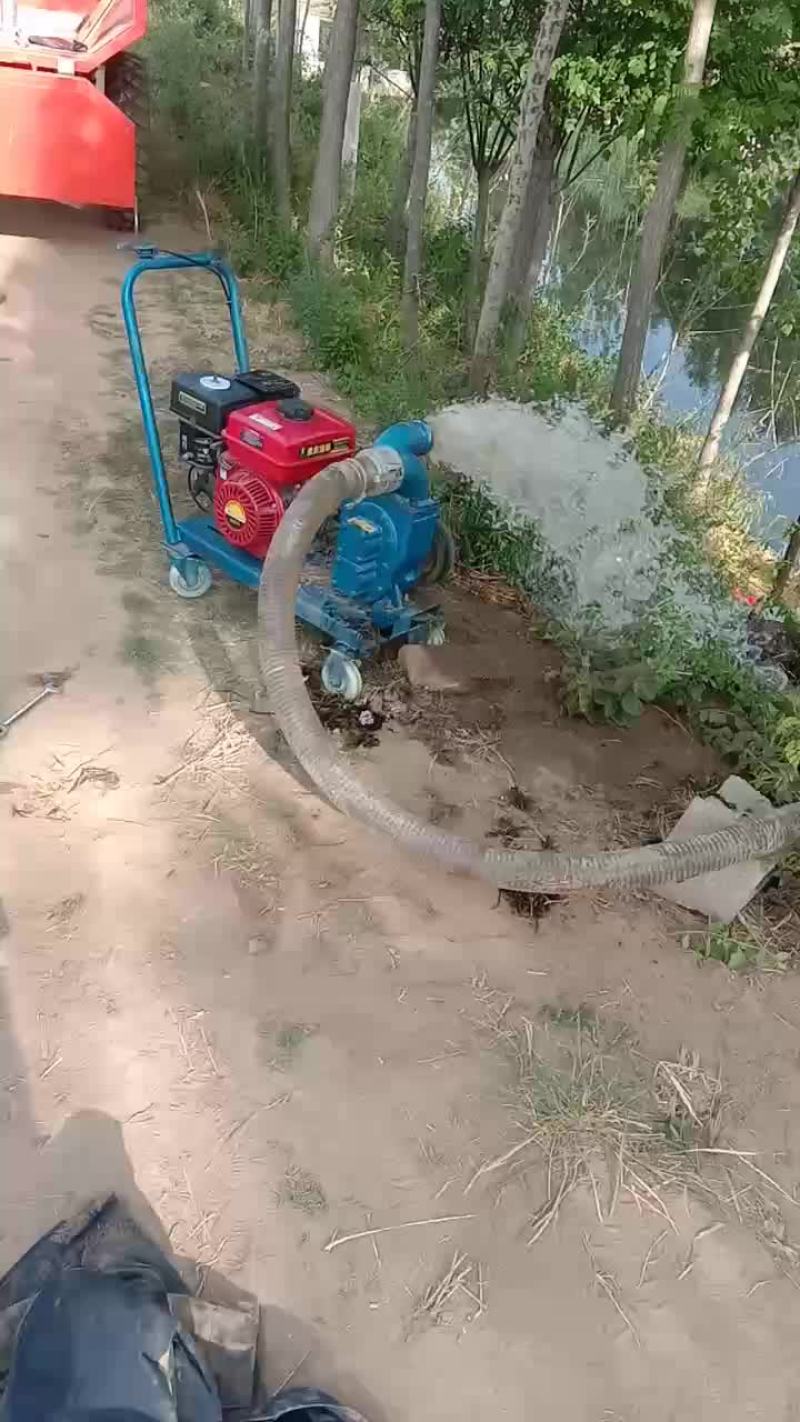 抽粪泵水泵