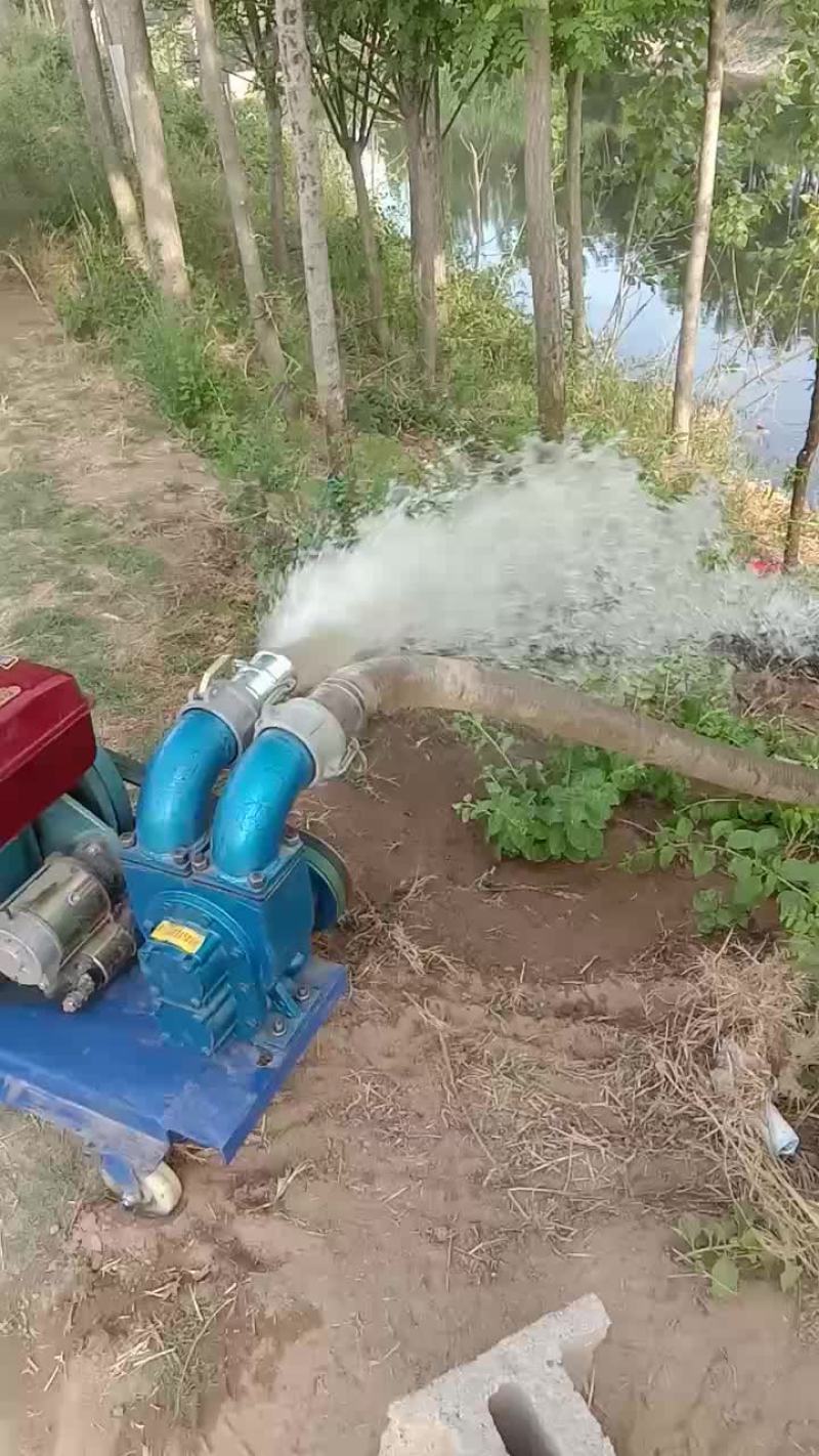 抽粪泵水泵