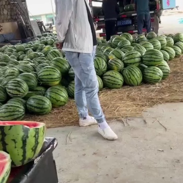 西瓜