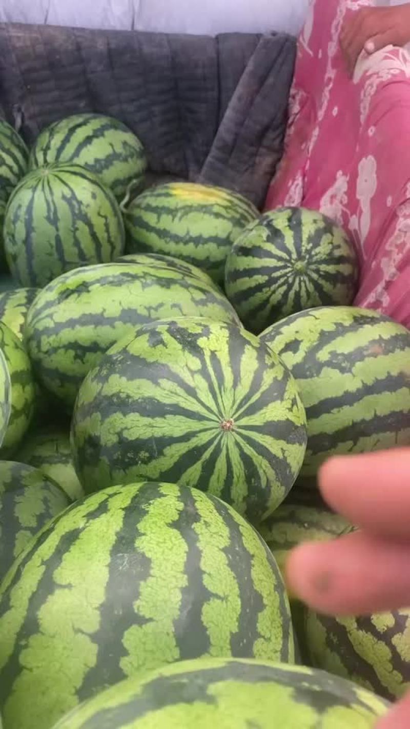 西瓜