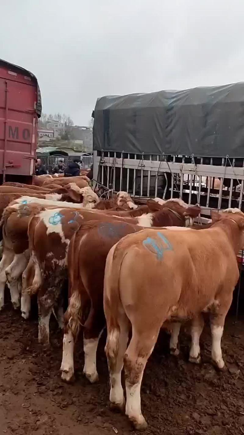 8000
